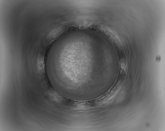 X0000103951252200809191432