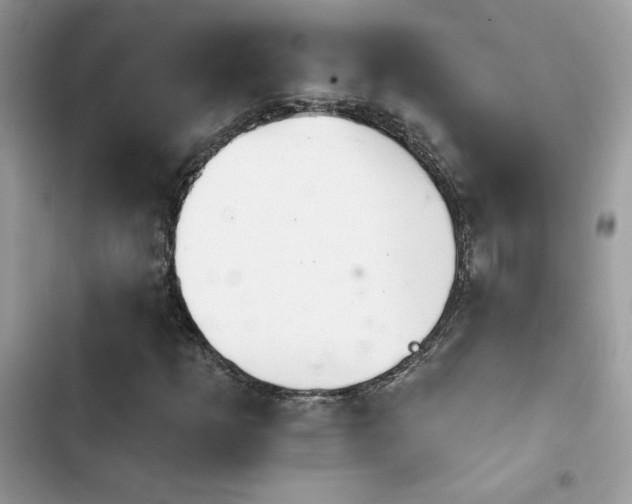 X0000103951253200809191432