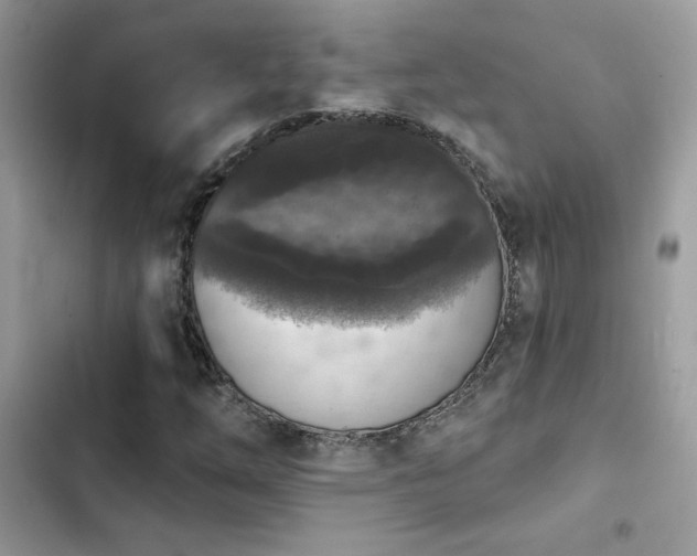 X0000103951254200809191432