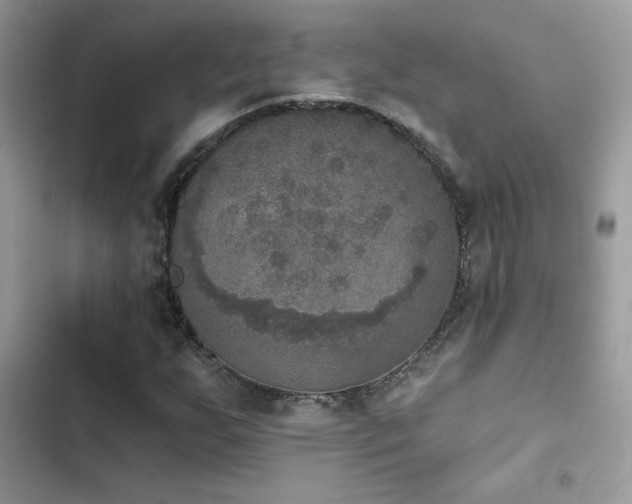 X0000103951255200809191432
