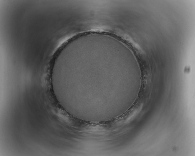 X0000103951256200809191432