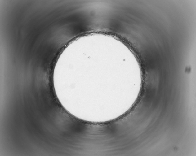 X0000103951257200809191432