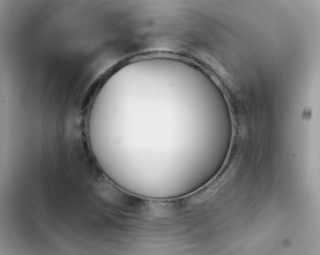 X0000103951258200809191432