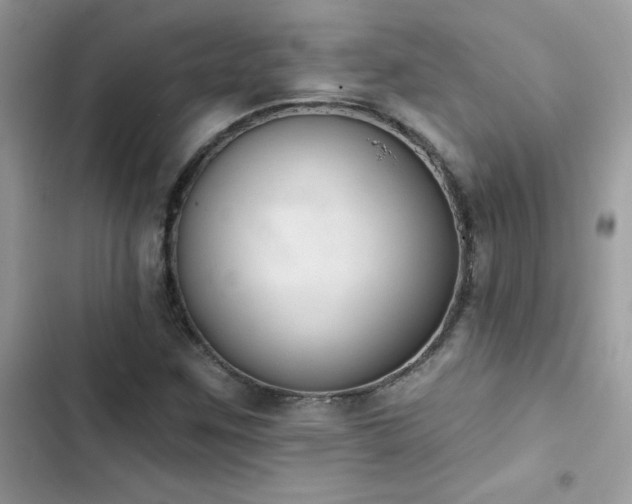 X0000103951259200809191432