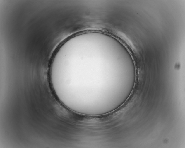 X0000103951260200809191432