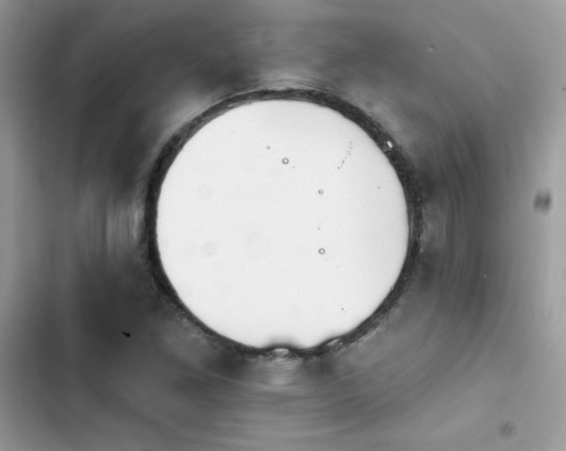 X0000103951261200809191432