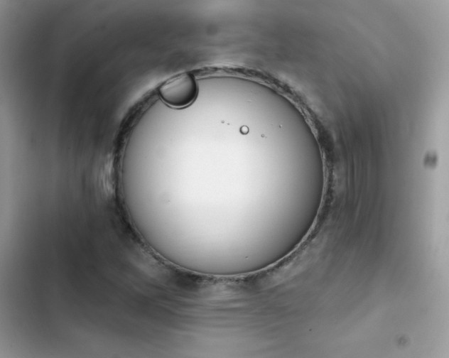 X0000103951262200809191432