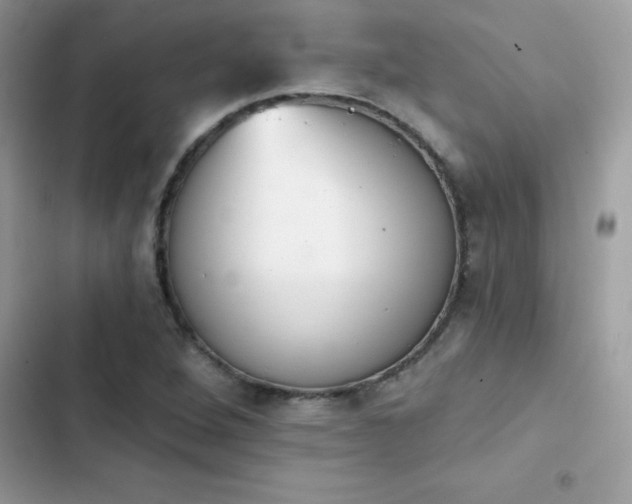 X0000103951264200809191432