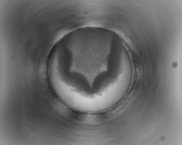 X0000103951266200809191432