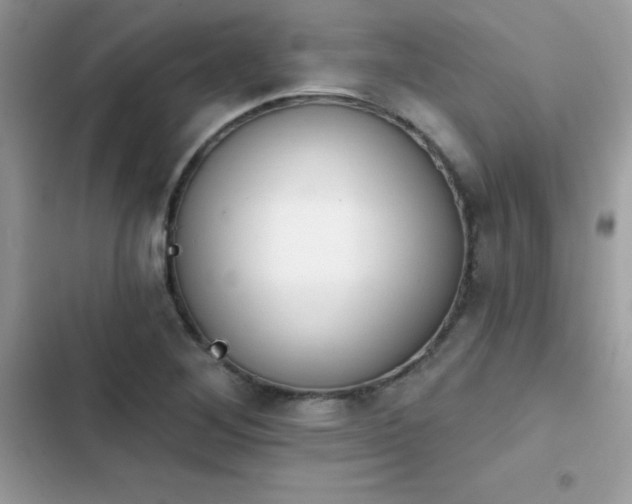 X0000103951268200809191432
