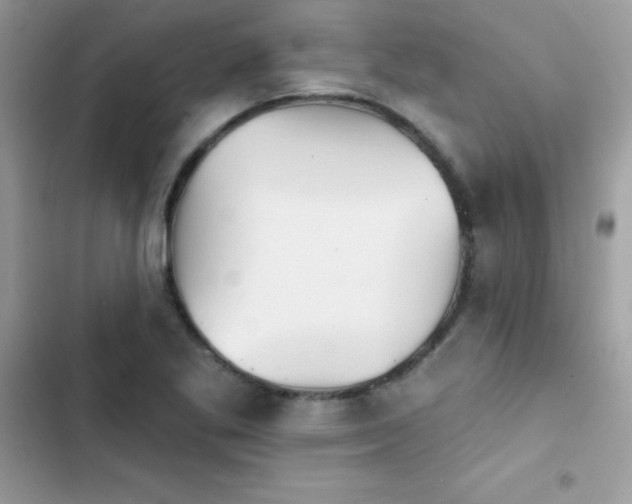 X0000103951269200809191432
