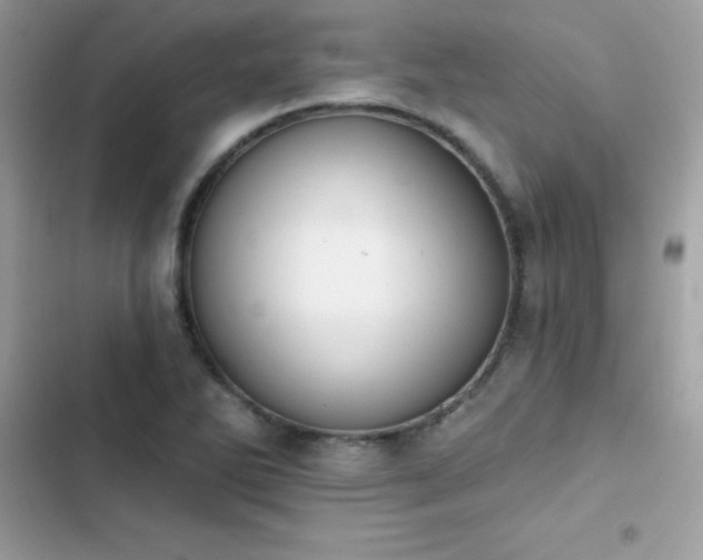X0000103951270200809191432