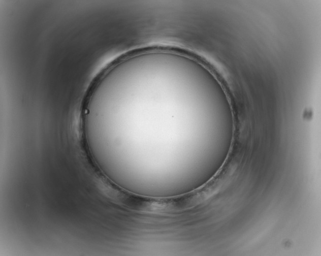 X0000103951271200809191432