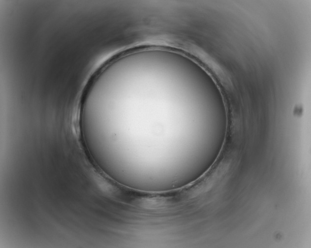 X0000103951272200809191432