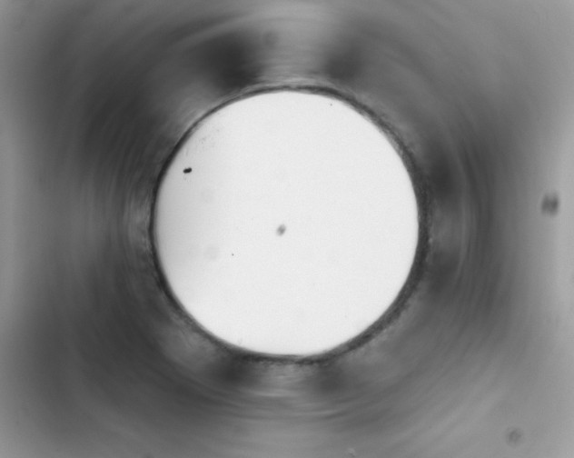 X0000103951273200809191432