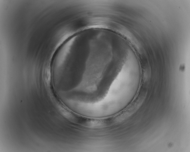 X0000103951274200809191432