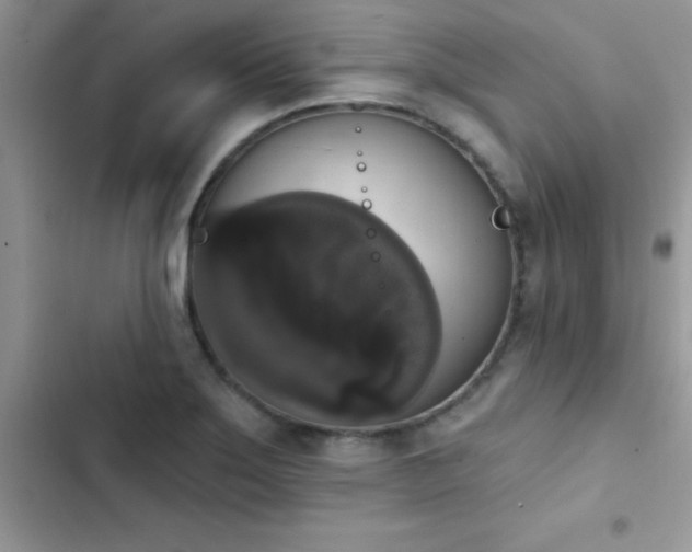 X0000103951275200809191432