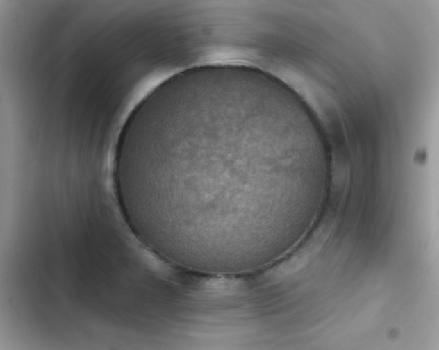 X0000103951277200809191432