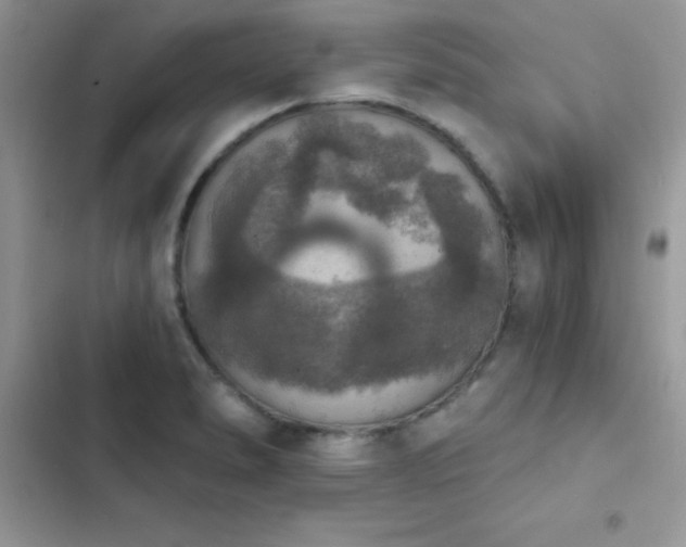 X0000103951278200809191432