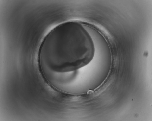 X0000103951279200809191432
