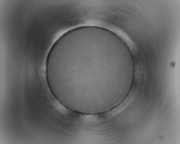 X0000103951280200809191432