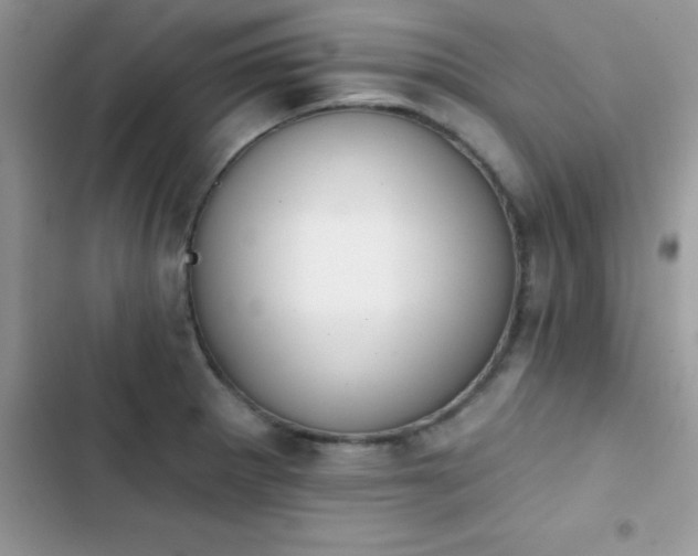 X0000103951281200809191432