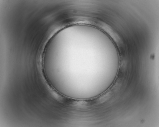 X0000103951282200809191432