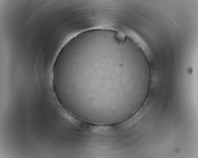X0000103951284200809191432