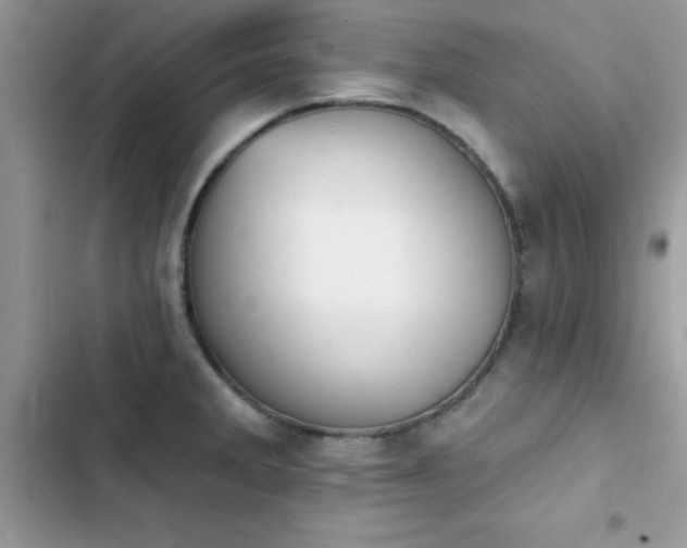 X0000103951285200809191432