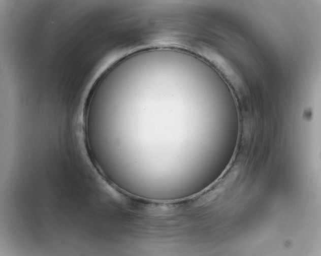 X0000103951286200809191432