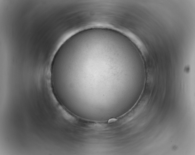 X0000103951287200809191432