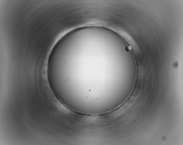 X0000103951288200809191432