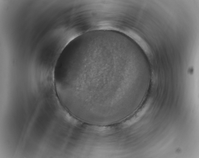 X0000103951289200809191432