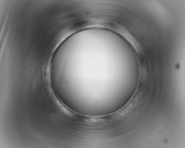 X0000103951290200809191432