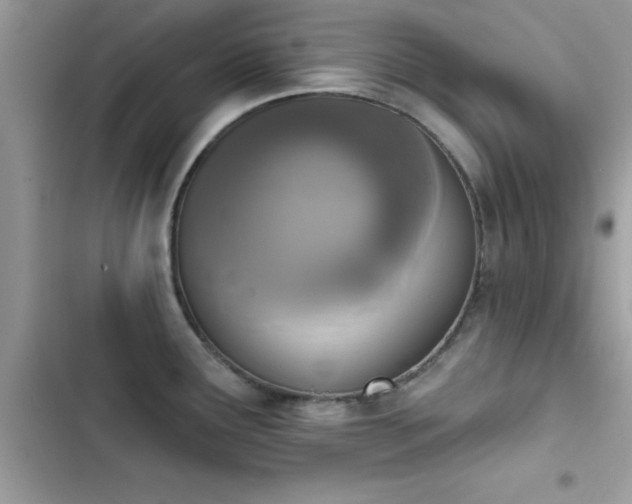 X0000103951291200809191432
