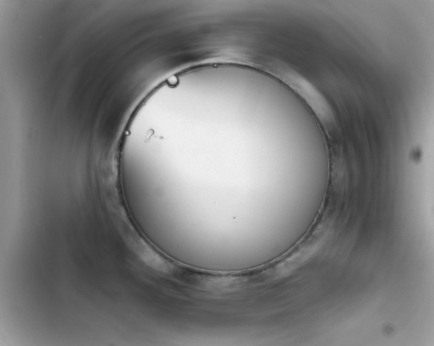 X0000103951292200809191432