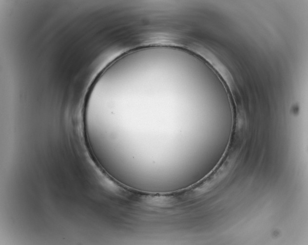 X0000103951293200809191432