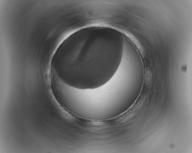X0000103951295200809191432