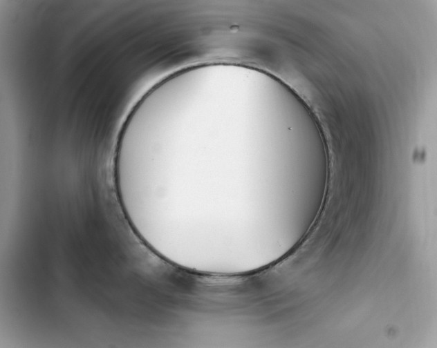 X0000103951296200809191432
