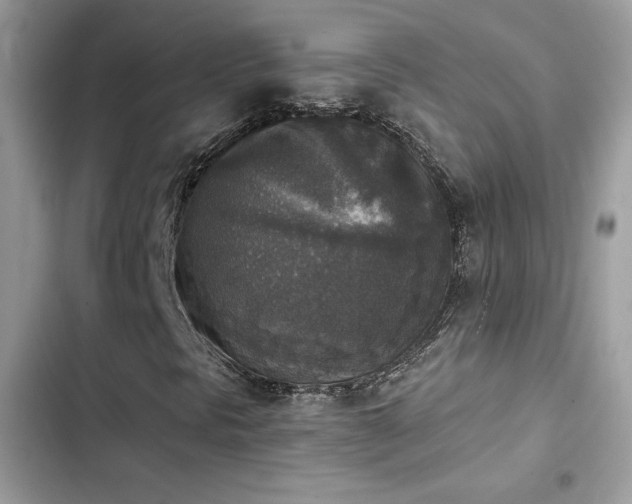 X0000103951297200809191431