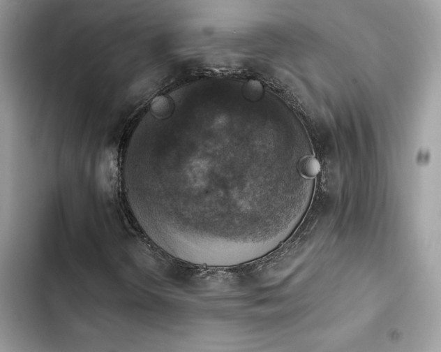 X0000103951298200809191431