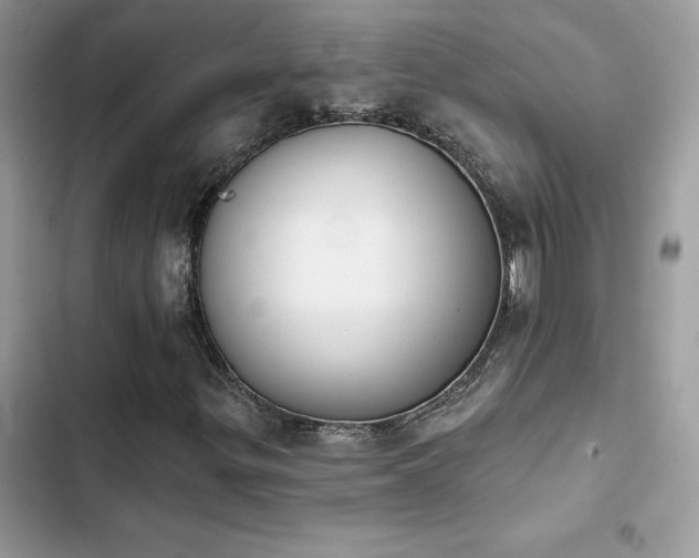 X0000103951299200809191431