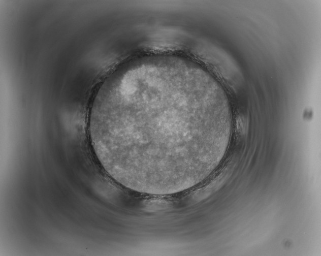 X0000103951300200809191431