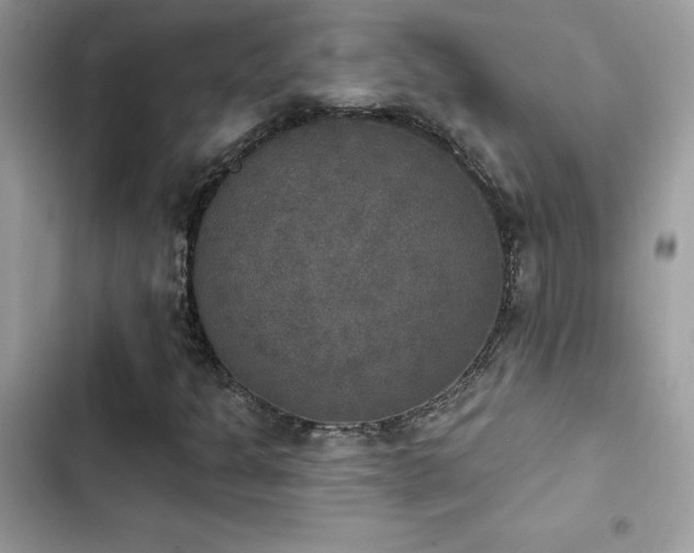 X0000103951301200809191431