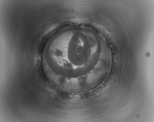 X0000103951302200809191431