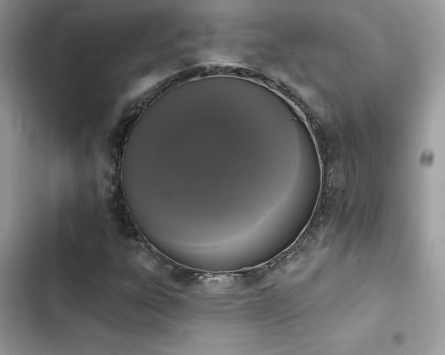 X0000103951303200809191431