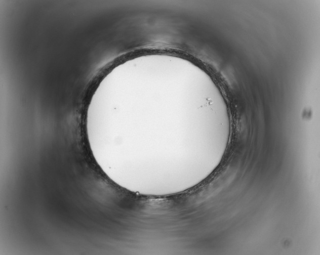 X0000103951304200809191431