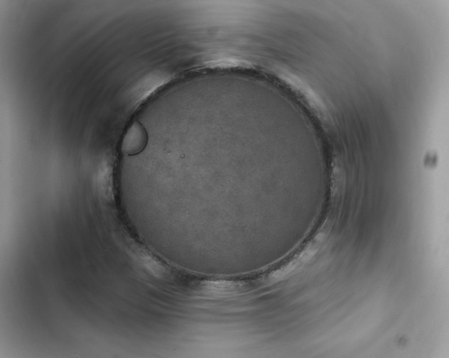 X0000103951305200809191431