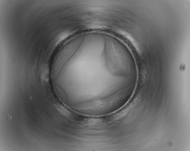 X0000103951306200809191431