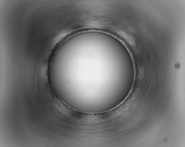X0000103951307200809191431
